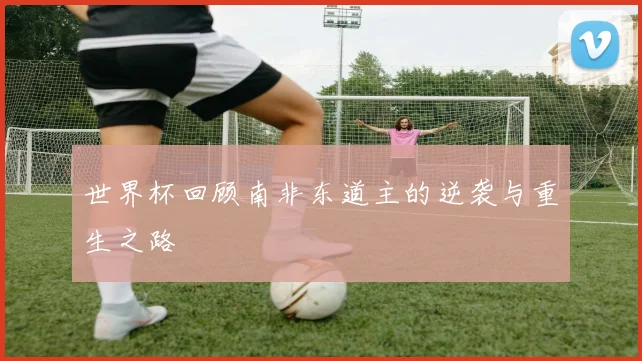 世界杯回顾南非东道主的逆袭与重生之路