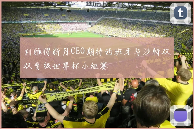 利雅得新月CEO期待西班牙与沙特双双晋级世界杯小组赛