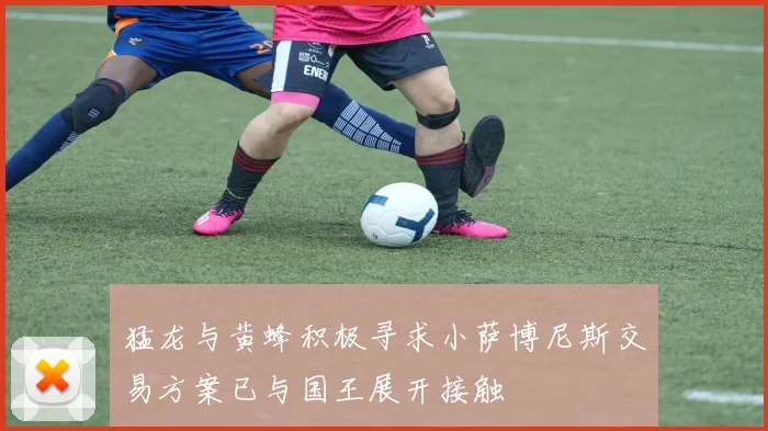 猛龙与黄蜂积极寻求小萨博尼斯交易方案已与国王展开接触