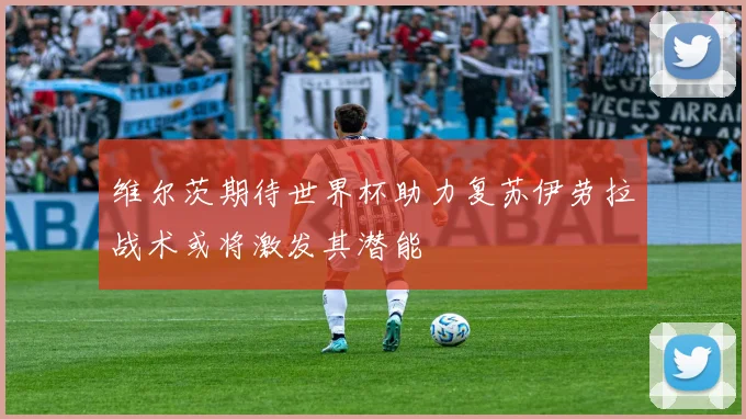 维尔茨期待世界杯助力复苏伊劳拉战术或将激发其潜能